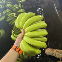 Verse Cavendish Banaan Vietnam Export Kwaliteit Premium Zoete Smaak Concurrerende Prijs Bulkaanbod