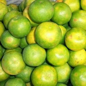 ส้มสดขายส่ง ส้มแมนดารินสดขายส่ง ส้มรสหวานอร่อยสดใหม่ ส้มบลัดออเรนจ์ขายส่ง - Product Image 3