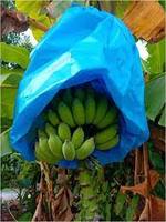 Blauwe PP plastic zak voor bananenbundels in de landbouw, beschermt tegen insecten en dieren met warmteverzegeling