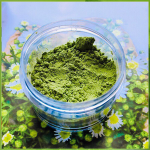 ผงมิ้นต์ปลาสด & มีกลิ่นหอม/สูตรครอบครัว/ราคาไม่แพง/ผลิตในเวียดนาม - Product Image 3