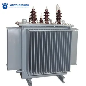Transformateur élévateur 20kV 33kV 250 kVA 315kVA Fabricants de transformateurs de distribution immergés dans l'huile