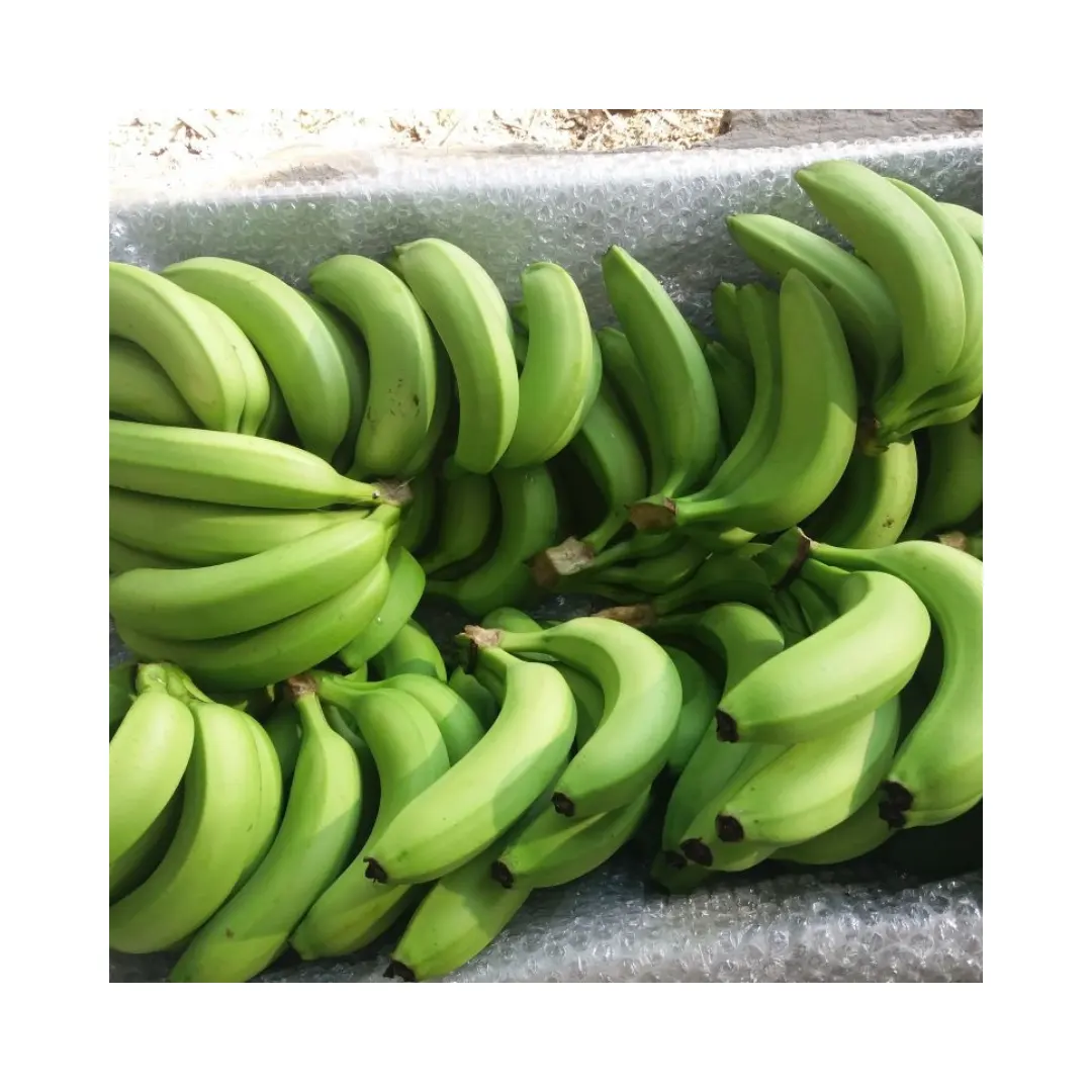 Best Verkopende Verse Fruit 2024 Groene Banaan Lange Zoete Gele Volledige Voeding Biologische Cavendish Banaan Uit Vietnam
