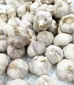 กระเทียมเวียดนามสด Ajo Fresco Ail Frais กระเทียมขาวพรีเมียมแบบหัวเต็ม สำหรับผู้ซื้อระดับโลก - Product Image 3
