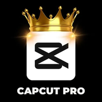 Versión internacional Capcut Internet Software Edición profesional con todas las funciones Admite la instalación en MAC para computadoras