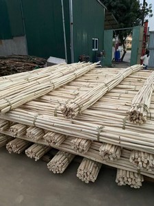 Fournisseur de poteaux en rotin naturel de bonne qualité au Vietnam avec de nombreuses tailles pour l'exportation/99 données sur l'or - Product Image 4