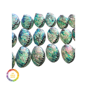 เปลือกหอยเป๋าฮื้อเปลือกหอยเคลือบเงาสีสันสดใสสำหรับฝังเครื่องประดับ - Product Image 2