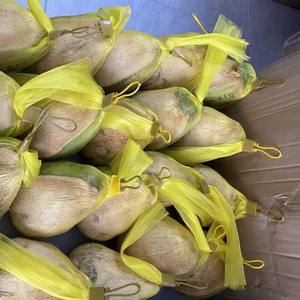 Distributeur de cire de noix de coco entier, cire de noix de coco pour esporter, fabriqué en noix de coco au Vietnam, vacances - Product Image 2