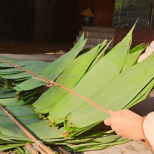 Hojas de bambú secadas al sol naturales 100% tamaño grande 9cm + precio competitivo para hacer pasteles directamente desde Vietnam - Product Image 1
