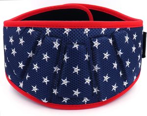 Cinturón de elevación de neopreno con logotipo personalizado para fitness y entrenamiento de levantamiento de pesas, equipo de gimnasio ajustable, cinturón de levantamiento de pesas - Product Image 1