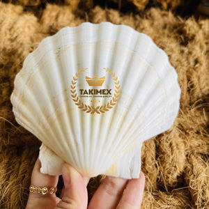 Mezcla de Conchas Marinas Costeras para Decoración Elegante de Fiestas en la Playa y Adorno para el Hogar con Temática Oceánica - Product Image 1