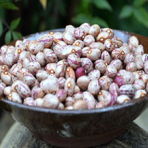 Frijoles Pintos secos a granel a la venta - Product Image 3