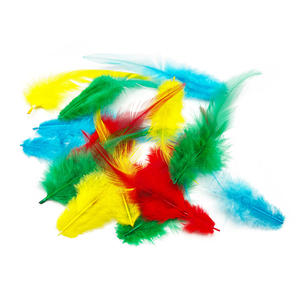 12 pièces de plumes de dinde teintes de 6 cm, longues plumes non toxiques PLOMA C502 pour l'artisanat - Product Image 2