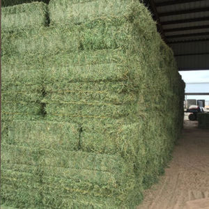 Heno Premium ALFALAFA en Fardos y Pellets, 24 Meses de Vida Útil, 3% de Humedad, Alimento para Caballos, Ganado y Cerdos, en Venta - Product Image 1