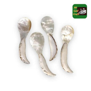Cuchara de concha marina hecha a mano: cuchara de concha con nácar de Vietnam, 100% hecha a mano naturalmente para la estética de cocina de tendencia - Product Image 2