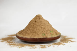 Polvo de raíz de regaliz seco de alta calidad al por mayor - Product Image 2