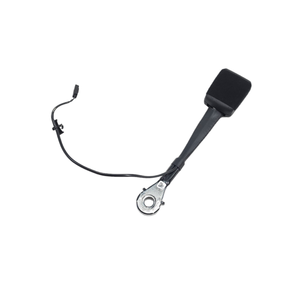 Gancho del Cinturón de Seguridad Delantero Derecho AUDI A3 Sportback (8YA) 8Y0857755 (19>) - Product Image 1