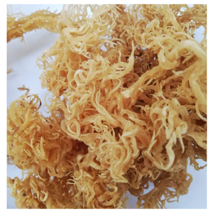 สาหร่ายคอตตอนนีอบแห้งแบบธรรมชาติคุณภาพระดับพรีเมียมอุดมไปด้วยสารอาหารและไฟเบอร์ - Product Image 3