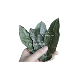 ถุงชาสมุนไพรจากเวียดนาม - Product Image 6