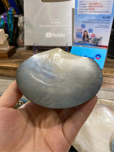 Plato de Madre de perla hecho a mano Natural pulido, Plato decorativo, plato de Madre de perla para vajilla elegante - Product Image 3