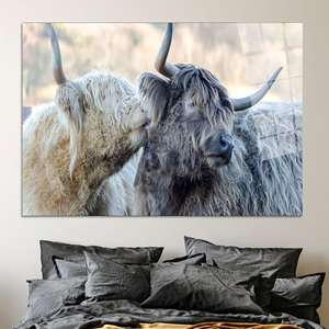 Lienzo Impreso Elegante: Decoración Animal para Sala de Estar en Hogares Modernos, ARTE EN VIDRIO TEMPLADO - Product Image 1