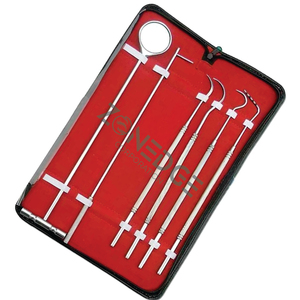 Equipo Dental Profesional, Kit Veterinario con Sonda, Espejo y Explorador para Odontología Equina, Calidad A+ por Zonedge - Product Image 2