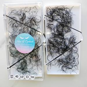 Nouveau et chaud Style coréen Pbt Fiber 1000 Box 0.03mm à 0.20mm 4D ventilateurs de Promade en vrac fabriqués au Viet Nam - Product Image 2