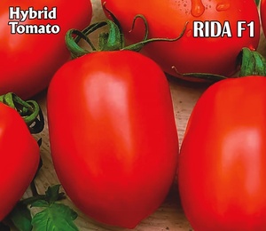 Semillas de Tomate Híbrido Moon Star RIDA F1 - Product Image 1