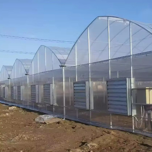 Serre Système hydroponique Serres hydroponiques pour bleuets Serres Matériel agricole Serre en polycarbonate - Product Image 4