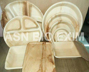 Platos cuadrados de hoja de palma de bambú desechables, paquete de 100, planta compostable biodegradable ecológica para postre de Camping - Product Image 3