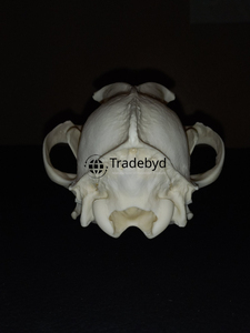 Figura esculpida de animales de resina Premium Tradebyd, estatua creativa hecha a mano para coleccionistas e interiores de casas de lujo - Product Image 4