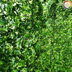 Hoja de Limón Seca Natural de Vietnam para Mezclas de Sabor y Aplicaciones de Especias en Cocina con Material de Hoja - Product Image 4