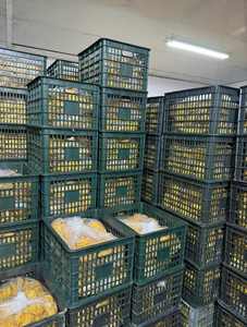 Chili Salt Mango suave y seco Ultimate Sweet Picante y sabor picante Embalado con sabor natural Calidad Premium Blue Lotus Cherish - Product Image 5