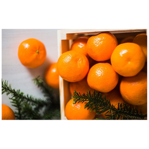 Naranjas frescas de alta calidad Valencia y Navel Fresh Orange Fresh Valencia Orange. - Product Image 2