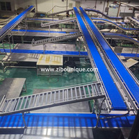Machine d'abattage de porcs haute capacité, équipement d'abattoir de porcs, ligne de transformation de viande de porc