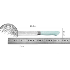 Couteau d'office en acier inoxydable de haute qualité personnalisé en gros Offre Spéciale cuisine coupe quotidienne couteau à légumes OEM disponible - Product Image 2