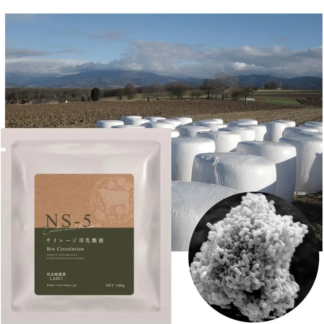 High quality silage conditioner lactobacillus powder whole crop for cattle horse made in JAPAN