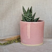 Pot de fleurs en céramique rose brillant, durable, pour plantes succulentes d'intérieur, élément de décoration moderne et élégant pour la maison