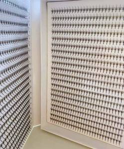 Vietnam vente en gros 16 lignes extensions de cils individuels W ventilateurs préfabriqués avec logo personnalisé bon prix pour une utilisation de beauté - Product Image 4