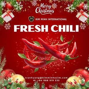 พริกสดคุณภาพส่งออกพรีเมียมจากเวียดนาม - กิมมิน นานาชาติ - Product Image 1