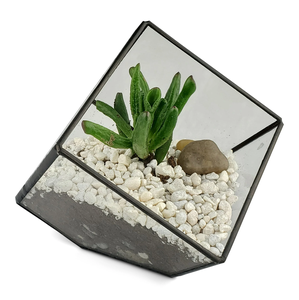 Terrarium rectangulaire en verre encadré d'or avec une figurine de moine miniature, des plantes succulentes et du sable en couches aux prix de gros d'usine - Product Image 2
