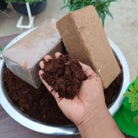 Blocs de tourbe de coco de haute qualité pour la culture des plantes