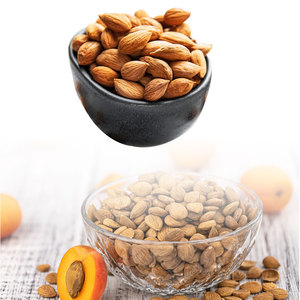 เมล็ดแอปริคอท | คุณภาพเกรดอาหารและสมุนไพรสำหรับผู้ซื้อต่างประเทศ - Product Image 3