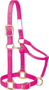 Licol de cheval rembourré en Gel pour cheval, licou anglais fait sur le plus beau - Product Image 4