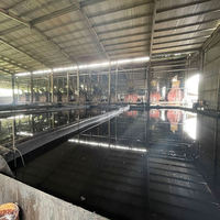 Huile de noix de cajou liquide de qualité supérieure, huile de noix de cajou brute, cardanol de haute qualité, norme d'exportation du Vietnam, entreprise