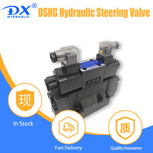 Katup Hidrolik DX DSHG-04-2B10B-T-D24-50110 Otomasi Industri PAC Pengontrol Pemrograman PLC Khusus 2000 psi 200 Nm - Product Image 6