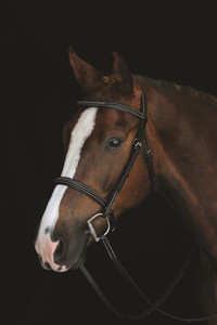 Productos de brida Comfort Crown Fancy Stitch, correa de carreras de cuero trenzado duradero, entrenamiento para caminar para suministros para mascotas medianas y grandes - Product Image 2