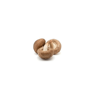 VDELTA Champignons Shiitake Séchés en Gros du Vietnam |   Commandes en gros - Product Image 4
