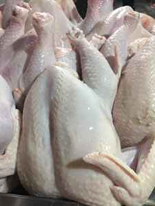 Poulet congelé de première qualité / Pièces de poulet congelées - Product Image 6