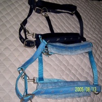 Ornements équestres : Harnais de tête pour cheval en vison de haute qualité avec sangle en nylon, logo personnalisé, rembourrage en nubuck durable, harnais anglais