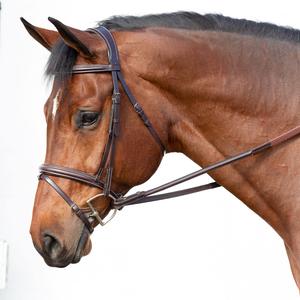 Bride flash confortable en cuir Equinavia et rênes en caoutchouc, équipement d'équitation marron chocolat pour les sports de plein air dans le monde entier - Product Image 4